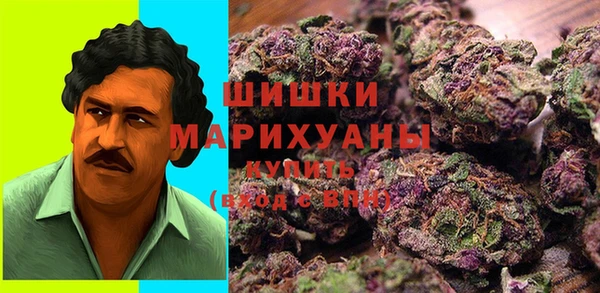 прущий лед Алзамай