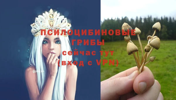 тгк Алексин