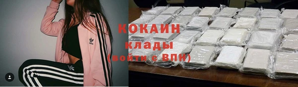 тгк Алексин