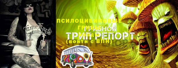 амфетамин Алексеевка