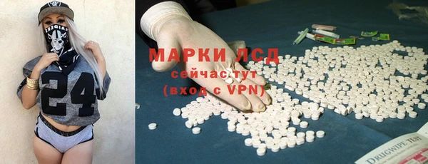 прущий лед Алзамай
