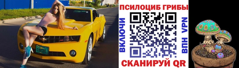 Галлюциногенные грибы ЛСД  кракен ССЫЛКА  Павловская  дарнет шоп 